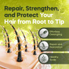 Dominican Magic Avocado Detangler Shampoo Conditioner 1Gallon Duo Set Deep Moisture Strength for All Hair Types TangleFr