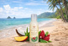 Island Soap Candle Works Awapuhi Mango Coconut Shampoo 2 Ounce Travel Size Moisturizing Hawaiian Shampoo Gentle Daily Cl