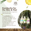 Probiotic Soapberry Body Wash Shampoo Conditioner Gift Bundle Unscented 3 Pack pH Balanced for Dry Hair and Sensitive Sk