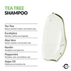 Challenger Tea Tree Shampoo Mens Shower Product For Itchy Dry Scalp Removes Dirt Oils Sulfate Free Argan Oil Biotin Kera
