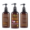Bisha Herbals SHAMPOO Red Onion Black Seed Oil Natural Organic Sulphatefree Parabenfree For men and women