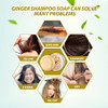 Ginger Hair Regrowth Shampoo Bars Pack of 5 Promotes Hair Growth Natural Organic AntiDandruff and AntiItching Ginger Soa