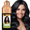 HERBBY Hair Color Shampoo for Gray Hair CoverageColor Transform with 9 Herbal Extracts Long Lasting68 WeeksShinyEvenly C