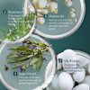 SHRD Sage Purifying Shampoo for Oily Scalp Deep Cleansing Rebalancing Hydrating Scalp Shampoo for Dandruff for Flat Hair