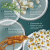 SHRD Red Ginseng Activating Shampoo for Thinning Hair Herbal Extract Rosemary Vitamin B5 RootLifting Oil Control AntiDan