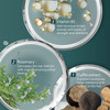 SHRD Truffle Moisturizing Shampoo for Dry Damaged Hair Shampoo with Truffle Extract Keratin Rosemary Intense Hydration R
