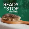 To Nacho Mexican Herbs AntiHair Loss Shampoo with Royal Jelly and Rosemary Extract Strengthening Herbal Shampoo for Men