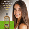 To Nacho Aloe Vera Shampoo with Royal Jelly and Keratin SulfateFree Shampoo for Dry and Damaged Hair Split Ends Hair Tre