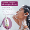 HIM AYURVEDA Onion Black Seed Hair Cleasner ShampooMen and Women 100 Natutal and AyurvedicSulfate FreeFor All Hair TypeF