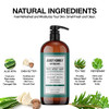 ABBOT KINNEY APOTHECARY Mens 3in1 Wash Moisturizing Shampoo Conditioner and Body Wash for Men Suitable for All Skin and