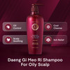 Daeng Gi Meo Ri Herbal Shampoo for Oily Scalp 169 fl oz 500ml