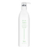 ALOXXI Reparative Hair Repair Shampoo for Damaged Hair with ColourCare Complex and Advanced Recovery Technology Cleanses
