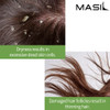 Masil Probiotics Apple Cider Vinegar Shampoo 51floz Reduces Itchy Scalp Dandruff and Frizz SulfateFree Restores Shine wi
