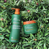 ATS Perstige Calmesh Headspa Shampoo 600ML Organic Aloe and Soothing Silicone Free Shampoo
