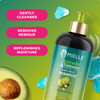 Mielle Organics Avocado Tamanu AntiFrizz Shampoo Sulfate Free Smoothing Shampoo for Textured Curly Straight Styles Humid