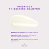 RCo BLEU Ingenious Thickening Shampoo Boosts Body Bounce and Shine for Fine Hair Cleanses and Clarifies Removes Product