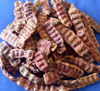 Shikakai Acacia Concinna Fruit Pods Ancient Shampoo Hair Cleanser 500gm 11 Lb by Shikakai