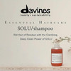 Davines SOLU Shampoo Deep Cleansing from Accumulation or Residues of Styling Products for Normal to HeavilyStyled Hair G