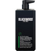 BLACKWOOD FOR MEN Active Man Daily Shampoo Thickening Clarifying Shampoo for Normal to Oily Hair or Scalp Fights Hair Lo