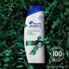 Head Shoulders AntiDandruff Shampoo and Conditioner with 1 Pyrithione Zinc Eucalyptus for Itchy Scalp Care 2in1 Twin Pac