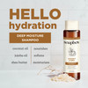 Soapbox Shampoo and Conditioner Set with Coconut Oil Jojoba Oil Aloe and Shea Butter to Moisturize and Nourish for All H