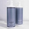 ALURAM Coconut Water Moisturizing Shampoo for Men and Women Clean Hydration and Shine for Medium to Coarse Textured Hair