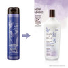 Bain de Terre Lavender Blonde Toning Shampoo Neutralize Brassy Tones for Cool Blonde Highlighted or Gray Hair with Argan