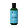 colorsmith Protect Shampoo 10 fl oz Gentle Mens Shampoo Prevents Hair Color Fade Delivers Lightweight Hydration Removes