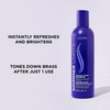 Clairol Professional Shimmer Lights Purple Shampoo 8 fl Oz Neutralizes Brass Yellow Tones For Blonde Silver Gray Highlig