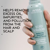 Aveda Scalp Solutions Balancing Shampoo Gentle Purifying Shampoo for All Hair Types Removes Pollution BuildUp Improves S