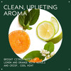 Aveda Scalp Solutions Balancing Shampoo Gentle Purifying Shampoo for All Hair Types Removes Pollution BuildUp Improves S
