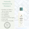 Yobee Rebalancing Shampoo SulfateFree Dry Flaky Itchy Scalp Care Probiotic Shampoo with Organic Honey Turmeric Vitamin B