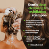 Reviv3 Procare PREP Cleanser Shampoo Clinically Tested Hair and Scalp Care AntiThinning and Fine Hair Cleansing Shampoo