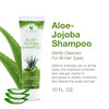 Forever Living AloeJojoba Shampoo For All Hair Types with Aloe Vera Vitamin A and Jojoba Oil Tropical Fruit Fragrance 10
