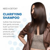 ALOXXI Clarifying Shampoo for ColorTreated Hair Gentle Hair Cleanser Removes Product BuildUp and Residue 338 Fl Oz