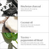 Briogeo Scalp Revival Charcoal Coconut Oil MicroExfoliating Shampoo SulfateFree Scalp Scrub for Dry Itchy or Oily Scalp