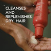 Aveda Nutriplenish Shampoo Deep Moisture Superfood Shampoo for Dry Hair Organic Pomegranate Oil Coconut Oil Mango Butter