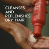 Aveda Nutriplenish Shampoo Deep Moisture Superfood Shampoo for Dry Hair Organic Pomegranate Oil Coconut Oil Mango Butter