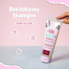 DLuchi Kaba Revitalizing Rosemary Shampoo with Red Onion for Thicker Fuller Stronger and Healthier Hair Free of Sulfates