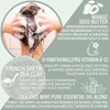 Luxiny Tea Tree Mint Shampoo Bar Vegan SulfateFree Made in the USA Refreshing Tea Tree Mint Oils Up to 60 Washes EcoFrie