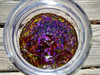Berry Beautiful Red Raspberry Seed Oil 4 fl oz Coldpressed from Raspberries grown by Northwest Berry Coop farmers