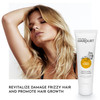 Hairgurt Almond Honey Intense Repair Yogurt Shampoo Deep Moisturizing Cleanser for Dry Damaged Hair SulfateFree Natural