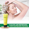 ECO amenities Travel Shampoo Tubes Hotel Shampoo Supply TSAApproved Travel Essentials 1 fl oz Pack of 200 Clear FlipCap