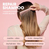 MONDAY HAIRCARE REPAIR Shampoo with Keratin Argan Oil Cocoa Butter 354mL For Dry to Damaged Depleted Hair 354mL