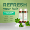 Soapbox Tea Tree Mint Shampoo Harsh Sulfate Free Paraben Free Silicone Free Color Safe and Vegan Hair Shampoo 338 Ounces