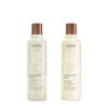Aveda Rosemary Mint Purifying Shampoo Conditioner Gift Set Clarifying Shampoo Lightweight Conditioner Normal to Oily Hai