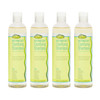 NOTHING BUT Clarifying Shampoo SulfateFree Detox for Natural Hair Hair Shampoo Removes Buildup 12oz Pack of 4