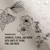 Davines OI Shampoo MilkySmooth Hydrating Cleanser for All Hair Types AntioxidantRich Formula with Roucou Oil for Extraor
