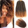 10 Inch Short Passion Twist Hair 8 Bundles Kinky Curly Crochet Hair for Black Women Curly Braiding Hair Crochet Braids H
