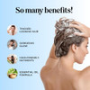 Rosemary and Biotin Shampoo for Thinning Hair Vegan Volumizing Shampoo for Fine Hair with B Vitamins Argan Oil Tea Tree